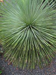 It can also seem to invite guests in. Modern Landscape Design Gardening Solutions University Of Florida Institute Of Food And Agricultural Sciences