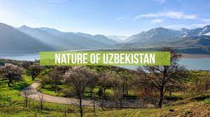 Maybe climate change or different destinations can have a positive influence on brain function, but the truth remains that tours to the mountains and nature can be inspiring. Nature Of Uzbekistan Youtube