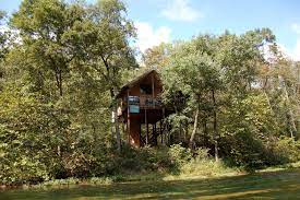 Treehouse cabins branson mo design and cabin ideas. 10 Tree House Hotels In The U S