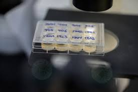 ¿quieres saber cómo ganar dinero extra? Las Bacterias Podrian Ser La Clave Para Curar El Covid 19 Segun Un Revolucionario Estudio Israeli Infobae Vamos A Ganar