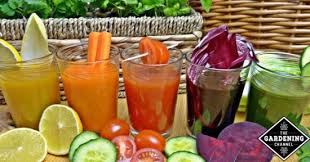 In the following recipes, we have used a few fruits and vegetables that are tough and harder to juice. Healthy Juices For High Blood Pressure Gardening Channel