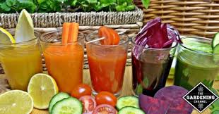 (find out the best and worst diets for heart. Healthy Juices For High Blood Pressure Gardening Channel