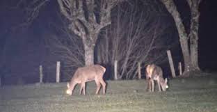 Des techniciens à pied d’œuvre - Aveyron - Le Petit Journal