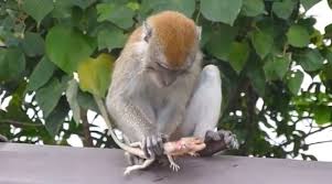 Renzi, 'uccisi servitori dello stato, profondo cordoglio'. Tm7eix5td Ucym