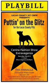 Lucas county pit crew, toledo, ohio. Rescuers Facing Legal Troubles For Defending Bosco The Pit Bull Barkpost