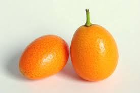 Synonyms arabic german english spanish french hebrew italian japanese dutch polish portuguese romanian russian turkish chinese. Kumquat Wikiwand