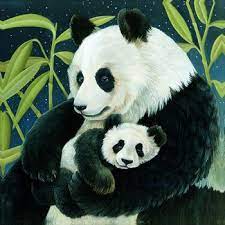 In addition to his work with that group, lennox has released six solo lps since 1999. Pandabaren Pandabar Susseste Haustiere Tiere