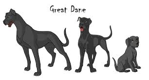 Great Dane Color Chart Great Dane Growth Chart Great