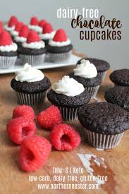 I also add nuts, pecans are my favorite. Dairy Free Chocolate Cupcakes Thm S Northern Nester