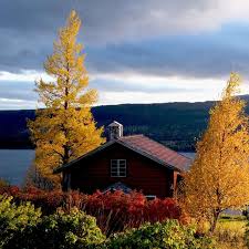 Последние твиты от jämtland (@estatejamtland). Come And Have Fun And At The Same Time Also Help Me Out With All My Projects In Back Jamtland Sweden