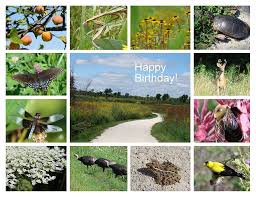 44+ best happy birthday sister images. Nature Birthday Greetings Photograph By Rosanne Jordan