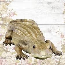 Gartenfigur Krokodil Baby Gartenfiguren Figur Und Krokodil