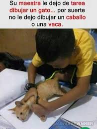 La Cara Del Gato Jajaja Memes Divertidos Meme Gracioso Chistes Divertidos