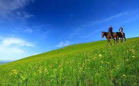 呼伦贝尔大草原景区_慢游文旅