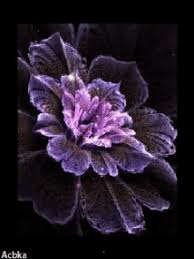 Find gifs with the latest and newest hashtags! Flower Animation Gifs Tenor