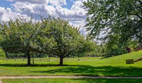 Pet friendly, smoke free apartments in alexandria, va with keyless entry and smart thermostats. Luxury Apartments In Alexandria Va Rent In Alexandria