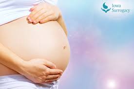 Becoming a surrogate mother entails extensive medical screening for a clean bill of health as well as certain requirements. How Much Do You Get Paid For Being A Surrogate In Iowa Surrogacy Agency In Iowa