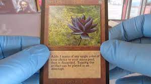 Daniel chang shares the magic. Guy Opens Old Magic The Gathering Deck Stumbles On 27 000 Card Cnet