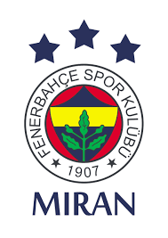 Fenerbahce Posterliebe