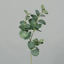 Eukalyptuszweig 65cm Grun Dp Kunstzweig Kunstliche Zweige Kunstpflanzen Kunstlicher Eukalyptus Seidenblumen Ross Gmbh