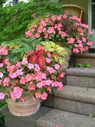 Pin On Angelus Home Garden Lifestyle