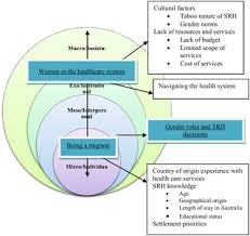 A healthy person can keep earning money so always put your health ahead of your financial needs. Refugee And Migrant Women S Engagement With Sexual And Reproductive Health Care In Australia A Socio Ecological Analysis Of Health Care Professional Perspectives