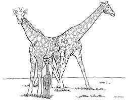 Find the best adults coloring pages for kids & for adults, print 🖨️ and color ️ 846 adults coloring pages ️ for free from our coloring book 📚. Giraffe Coloring Pages For Adults
