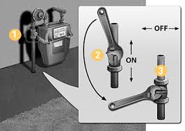 Generally speaking, a gas water heater will cost less per month than an electric model, since natural gas prices tend to be lower than the cost of electricity. Gas Safety Tips