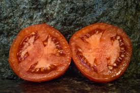 ¿quieres plantar algunas plantas de tomate? Scotia Tomate Vertiloom