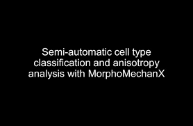 Plant cells are unique biocatalysts that have characters different from microorganisms or animal cells. Organ Geometry Channels Reproductive Cell Fate In The Arabidopsis Ovule Primordium Elife