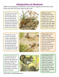 Adaptation To Their Environment Diagram Animal Adaptations Adaptations What Is Geography