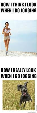 How I Look When I Go Jogging Laugh Funny Pictures Humor