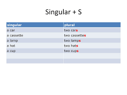Plurals Ppt Download