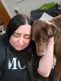 Lost pet before wedding day