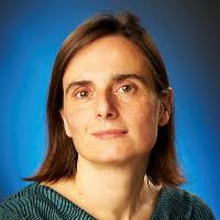 2000+ "Marsili" profiles