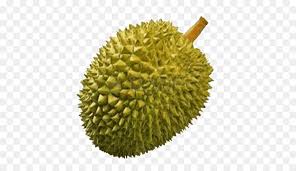 Download these durian cartoon character background or photos and you can use them for many purposes, such as banner, wallpaper, poster background as well as powerpoint background and. Fruit Cartoon