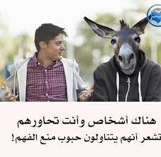 دجلة الناصري dijla85 twitter وماذا بعد سطور من حمار الحكيم قال حمار الحكيم توما متى ينصف الزمان فأرك wisdom quotes life fun quotes funny funny words