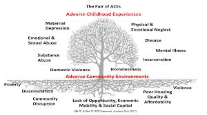 Another pair of aces has been added to your cart. When A Picture Tells The Story The Pair Of Aces Tree