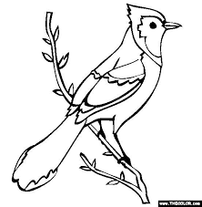All rights reserved | template by w3layouts. Coloring Book Pictures Of A Blue Jay Yahoo Search Results Cartoon Animals Bird Coloring Pages Online Coloring Pages Bird Drawings
