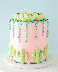 brittany may on instagram vanilla bean funfetti cake with oreo swiss meringue buttercream dark chocola kleiner geburtstagskuchen funfetti kuchen tropfkuchen