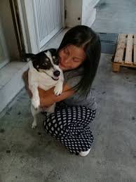 When You Need Help With Moving Your Pets From Texas Oklahoma Arkansas Or Louisiana Give Airvets A Call We Provide Animal S Pet Shipping Pet Transport Pets