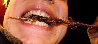 I imagine flies wouldn't be much different, although you'd have to eat a whole bunch of them to get any i've never seen or heard of anyone straight up eating flies, but to eat their larvae (maggots) is. The Ultimate Edible Insect Travel Guide China
