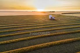 View homes for sale in blackie, alberta, property images, mls® house details and more! Aerial View Of Canola Harvest Lines Glowing At Sunset Blackie Alberta Canada Farm Color Image Stock Photo 196864734