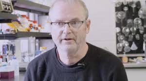 Delve Into The Brain and Cognition