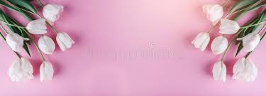 Sweet cupcake on white polka dots pink background vector. 3 788 570 Pink Background Photos Free Royalty Free Stock Photos From Dreamstime