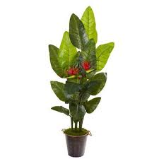 Bird Of Paradise Home Depot Canada Bay Isle Home Bird Of Paradise Plant In Planter Paradise Plant Plants Birds Of Paradise Plant