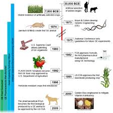 It depends on what is actually cloned. From Corgis To Corn A Brief Look At The Long History Of Gmo Technology Science In The News