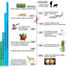 Transgenic animals can be used to make these biological products too. From Corgis To Corn A Brief Look At The Long History Of Gmo Technology Science In The News