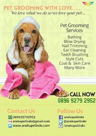 When you make an appointment with pet love, your furry companion never leaves the view of your home. Pin By Aneka Petindo On Pet Grooming Pet Grooming Love Your Pet Teeth Cleaning