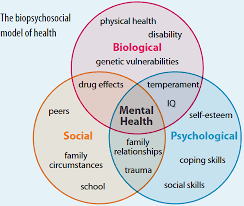 Social Workers Assessment Basics Social Work Interventions Social Work Social Work Theories